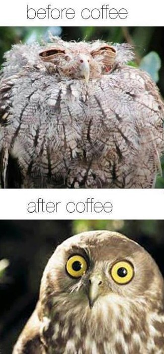 Svakog jutra prije prve kave...