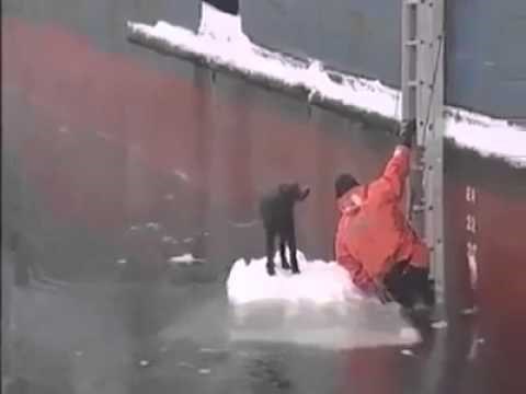 Pomorac skočio među sante leda kako bi psića spasio iz ledenog mora