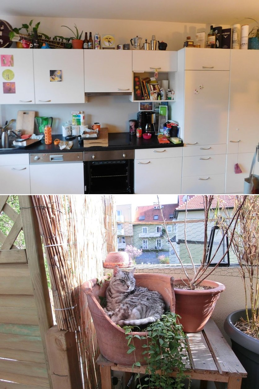 Pronađi mačka u kuhinji, još nitko nije uspio!