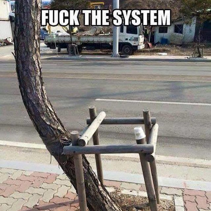 Drvo ima više muda od nas!