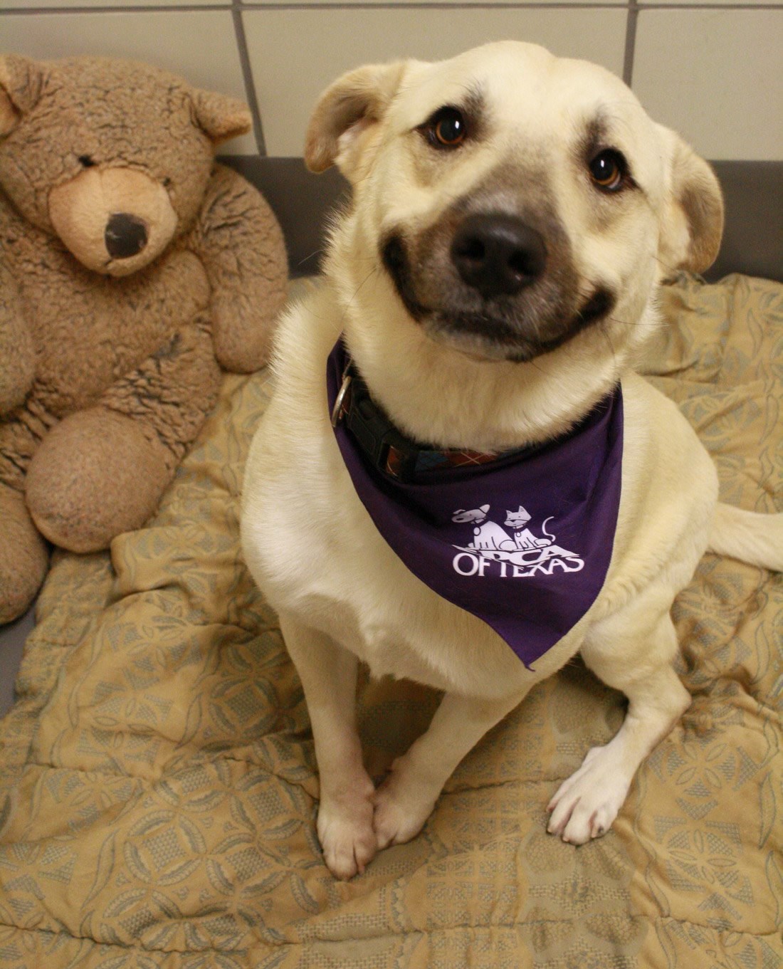 Riječi su suvišne, na licu piše "novi dom!"