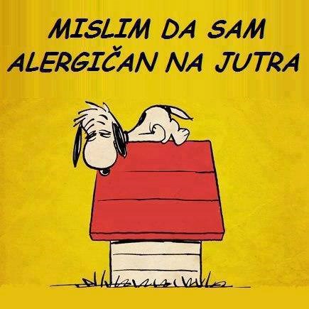 Život nije fer, jutra ne bi smjela postojati ponedjeljkom