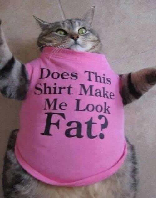 Jedini slučaj kad ženi smiješ reći "Ne"