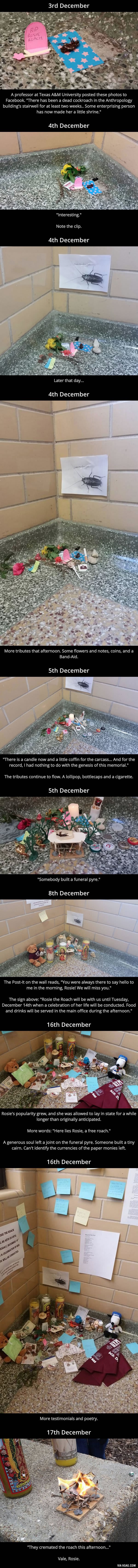 Uginulom žoharu studenti priredili dirljiv oproštaj od ovog svijeta