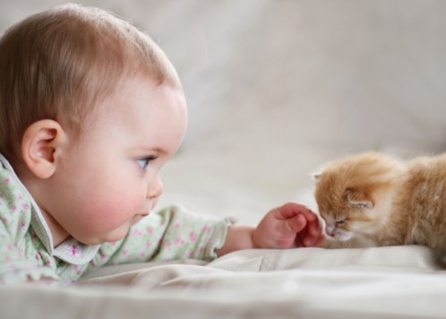 Djeca kuže dobrotu, ne uzimajte im to