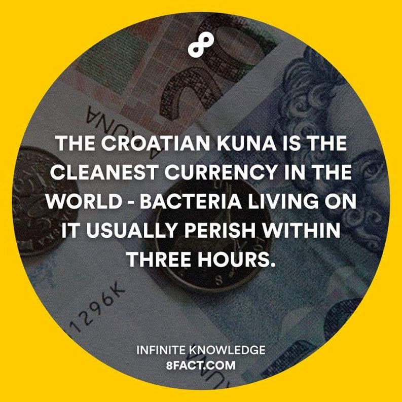 Wow, čini se da ni bakterije ne žele ostati u Hrvatskoj