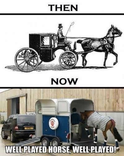 Konji nam postali gazde: Nekad su vukli, sad se gospoda vozi