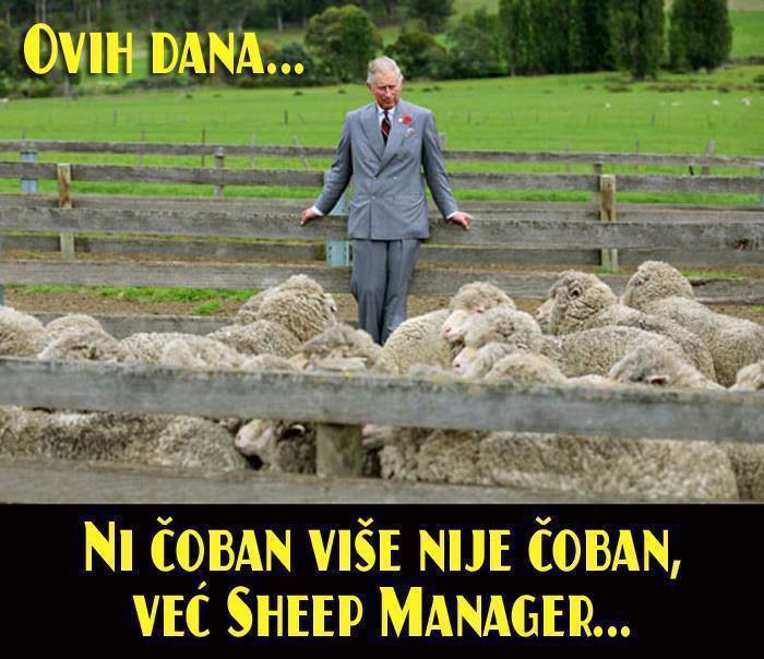 Svi bi bili menadžeri, makar i s istom plaćom