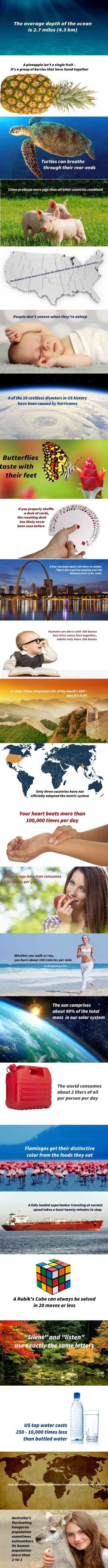 Mjesec je manji od Amerike: Dnevna doza znanja