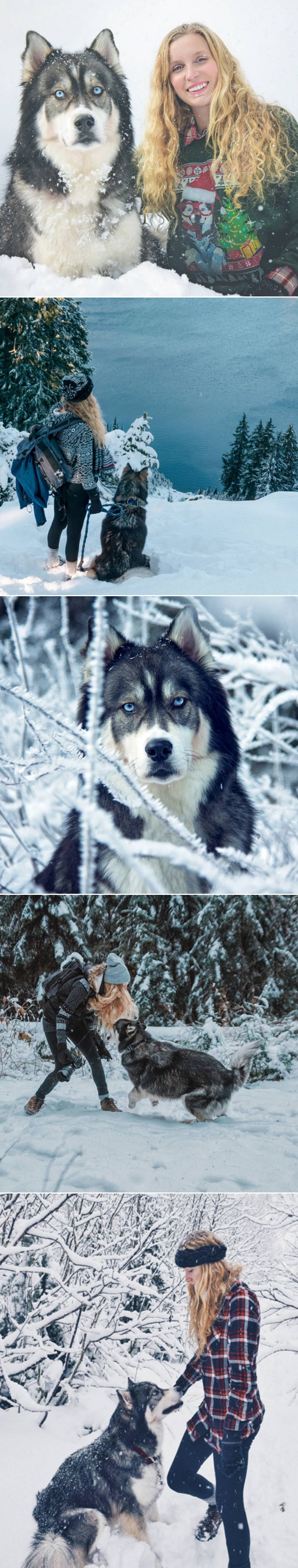 Udomila haskija i pružila mu šansu, nije znala da će joj baš on spasiti život