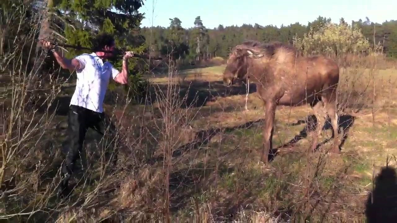 VIDEO: Eto zašto su muškarci ovakvi, a žene onakve
