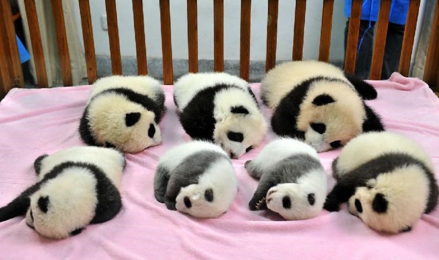 hehe, vrijeme spavanja..