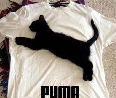 Brendirana roba na Balkanu