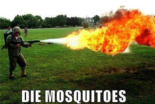 Samo je jedan način za istrebljenje leteće gamadi