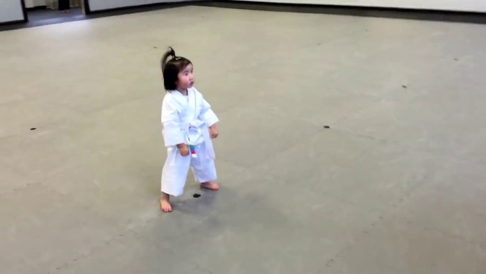 VIDEO Klinkica koja polaže karate zakletvu nešto je najslađe što ćete danas vidjeti