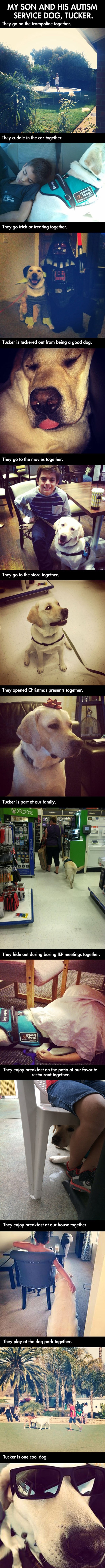 Galerija: Veseli labrador najveća sreća autističnog dječaka