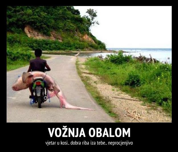 Svaki muškarac sanja o ovakvoj uživanciji s dobrom ribom