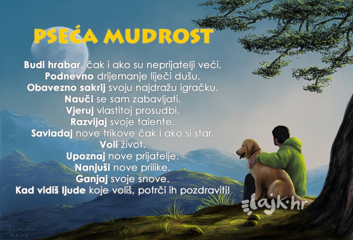 Pseća mudrost za lak život