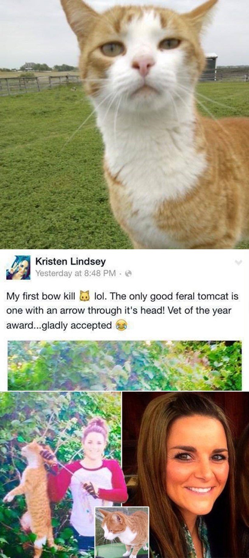 KONAČNO pravda za Tigera!