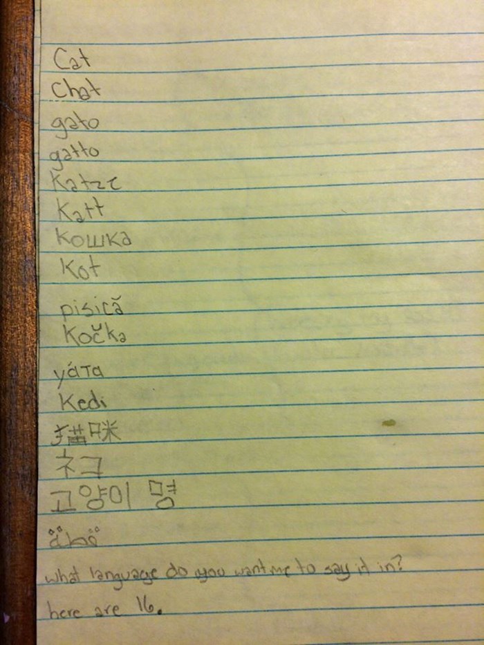 Kćer roditeljima dala popis božićnih želja, na 16 jezika