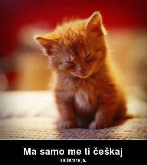 Kako skoncentrirati macu