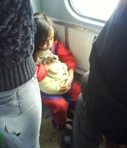 Brižna djevojčica iz tramvaja nježno čuva svog psića