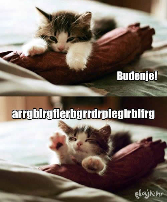 Buđenje