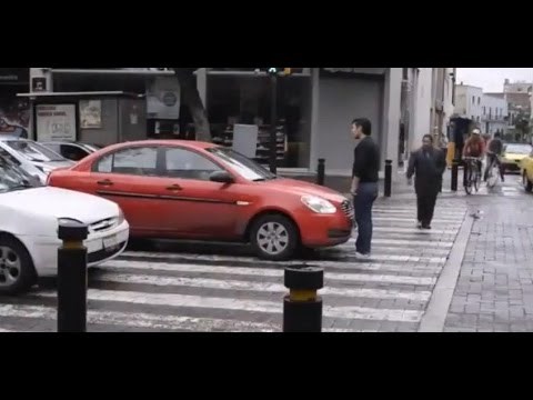 VIDEO: Pješak krvnički zatrolao vozača na zebri