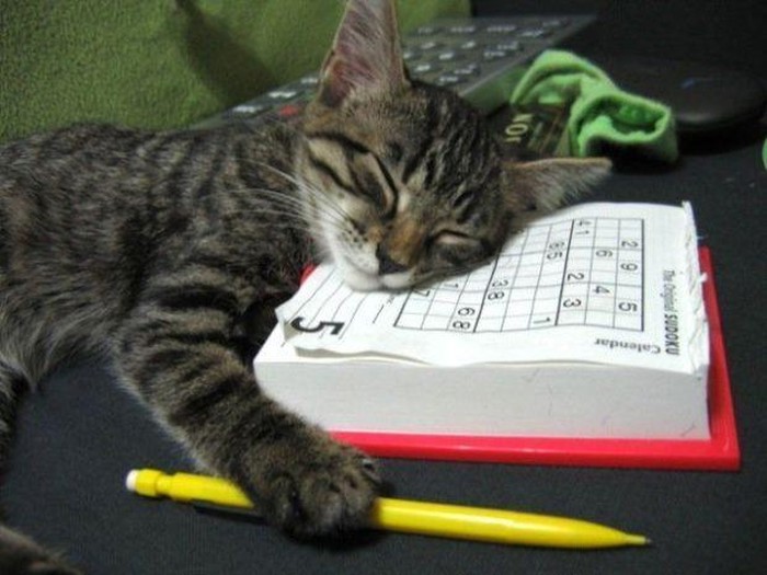 Ovaj sudoku je strašno zamoran... mrnjau...