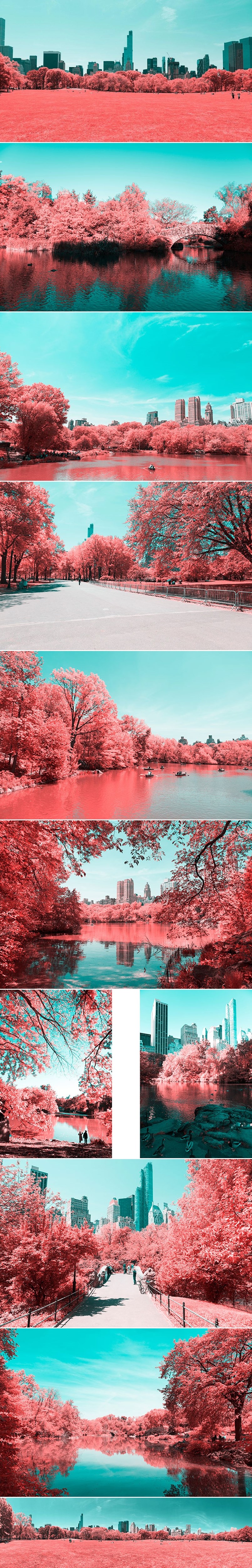 Totalno nadrealne fotke Central Parka u infracrvenom svjetlu