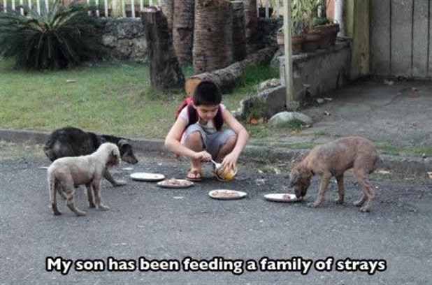 TopKlinci 2014: Dobrota jednog dječaka oduševila svijet