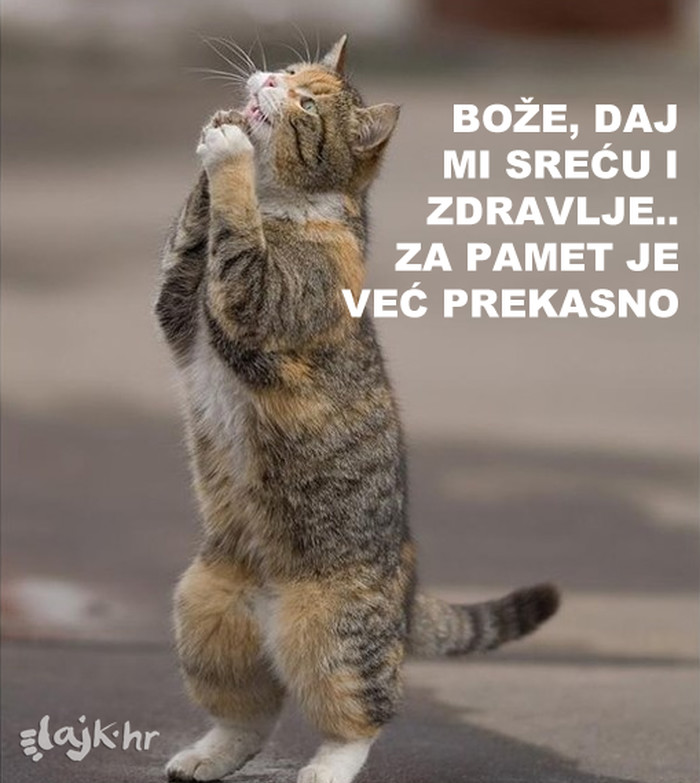 Budi realističan