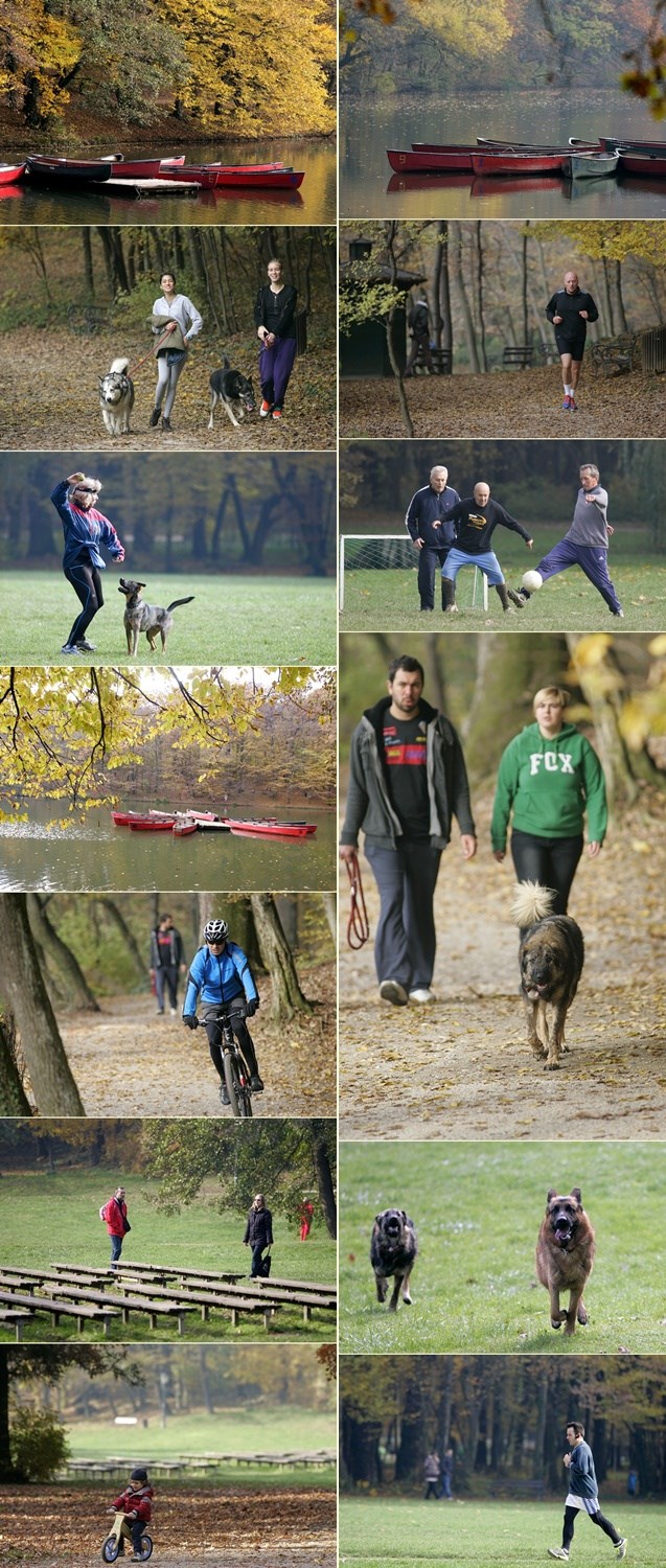 Maksimir u bojama jeseni