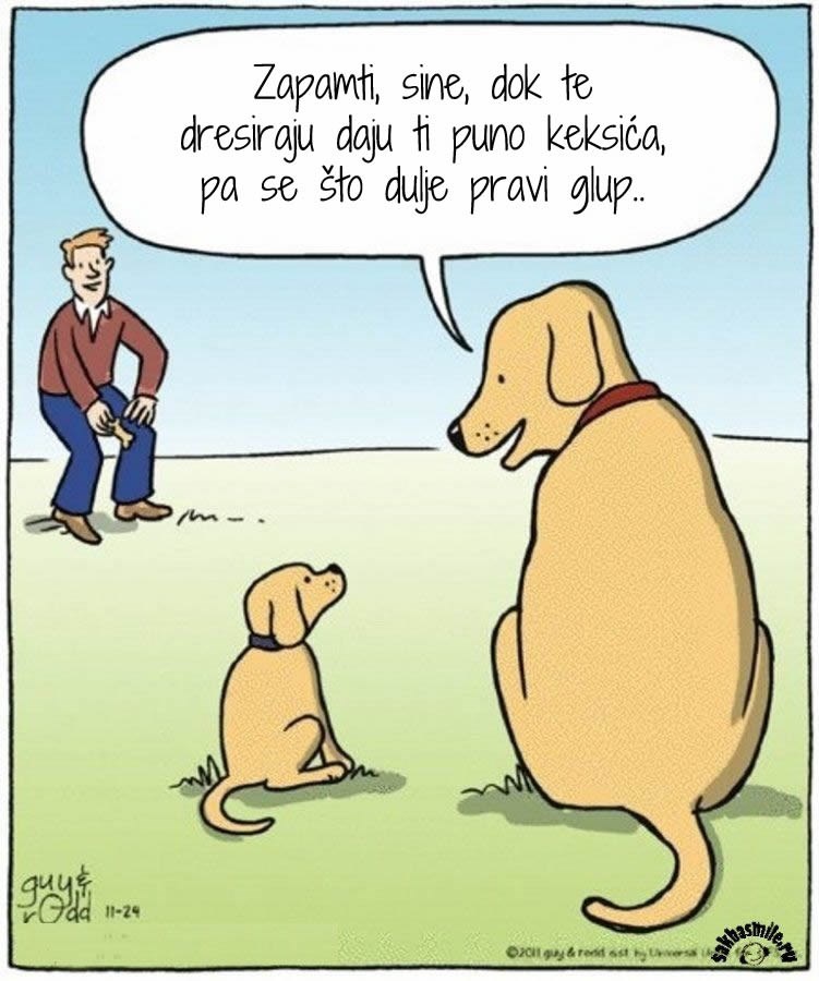 Psi sve pametniji, mi sve naivniji