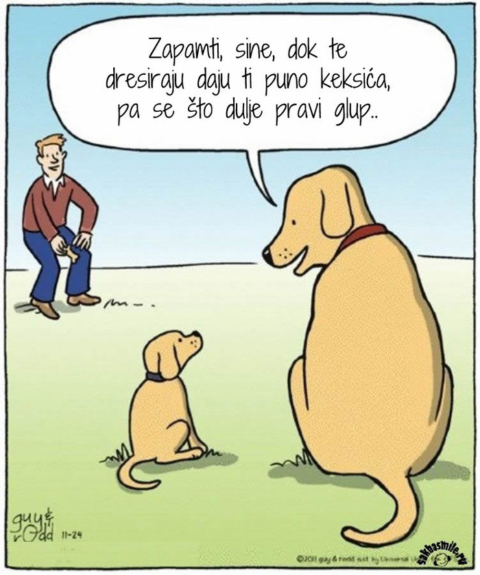 Psi sve pametniji, mi sve naivniji