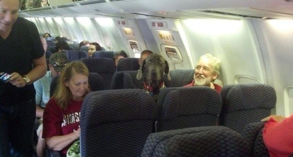 Je li ti nešto čudno u ovom avionu?