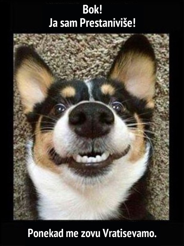 Kako je vašem psu pravo ime?