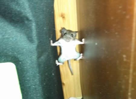 Snimanje "Nemoguće mišije"