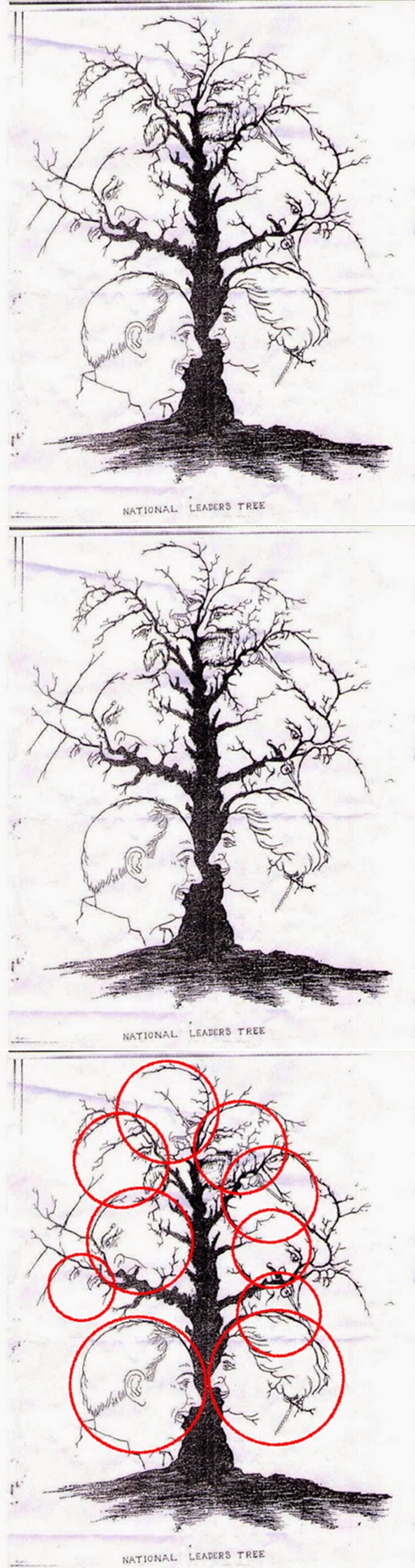 "Drvo najmoćnijih lica" skriva najmanje deset svjetskih državnika, dosad je pronađeno samo osam