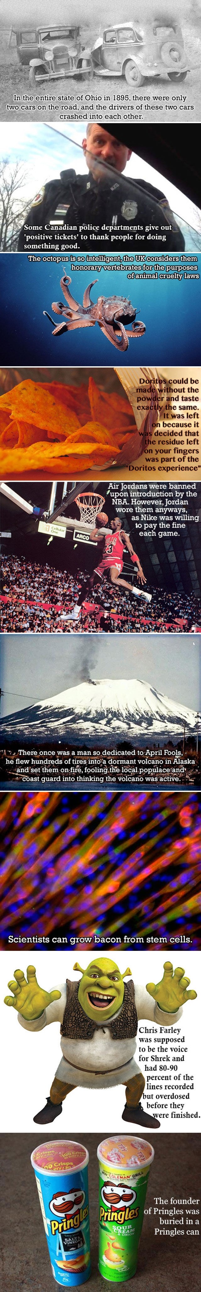 Najgluplji sudar u povijesti auta