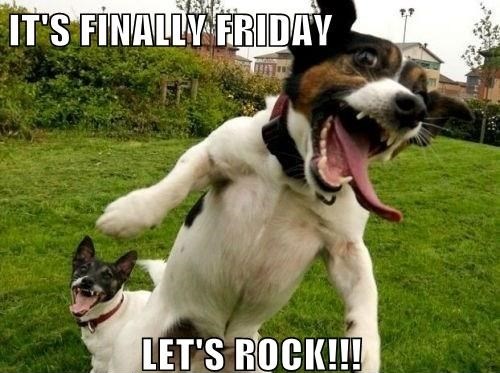 Kad konačno stigne petak, i još je produženi vikend