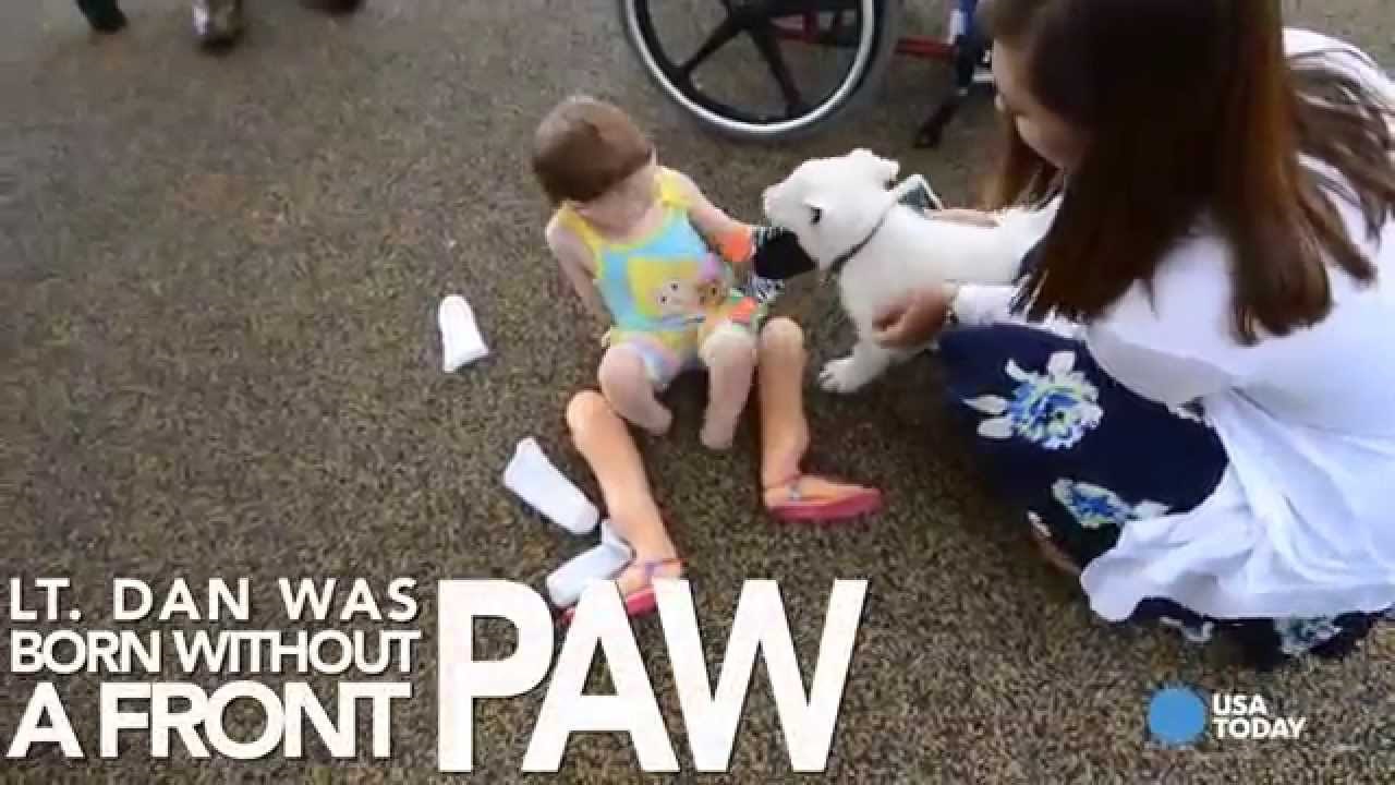 Video: Djevojčica bez nogu dobila psića bez šape - ljubav je bila neminovna