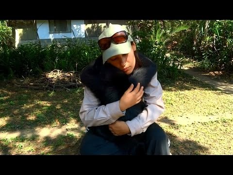 VIDEO: Majmunčić iz azila nježno zagrlio volonterku, zaželio se malo utjehe