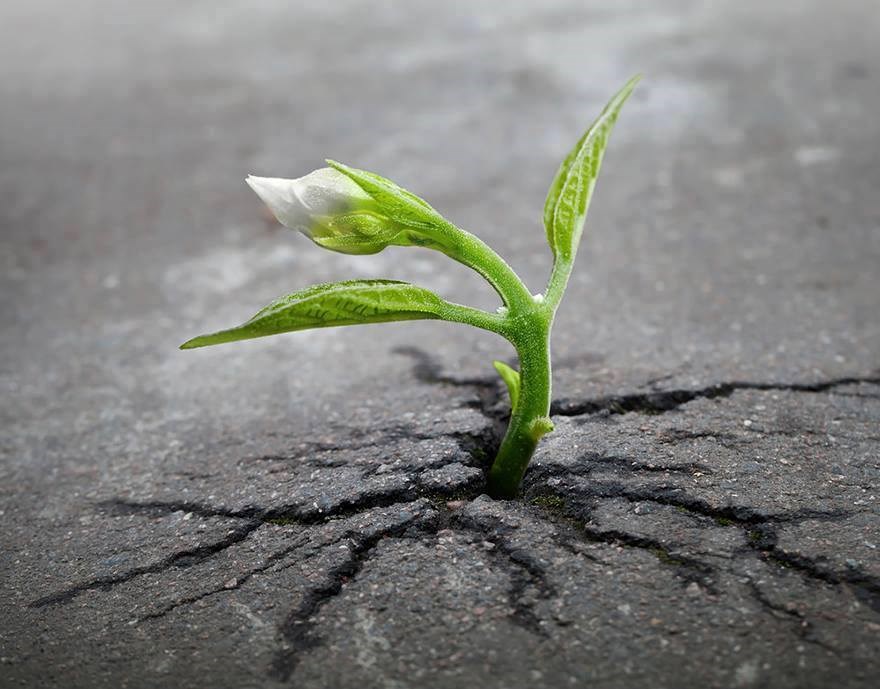 Život se ne da zaustaviti