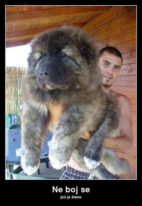 Ne boj se, još je beba