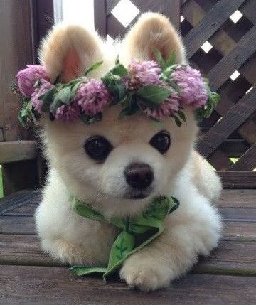 Jel' to netko rekao da stiže proljeće?