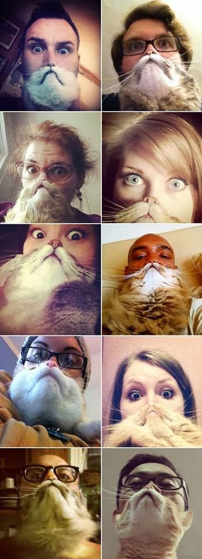 Mačkoljudi - mace snimile čudne selfije sa svojim gazdama