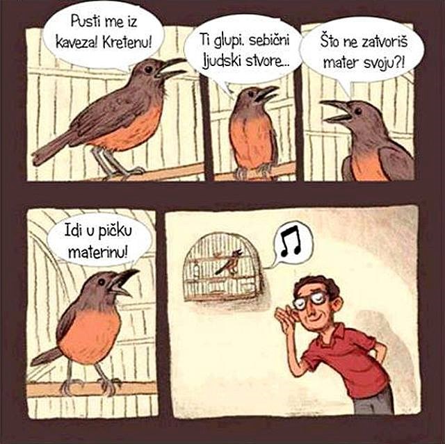 Ptice umiru psujući