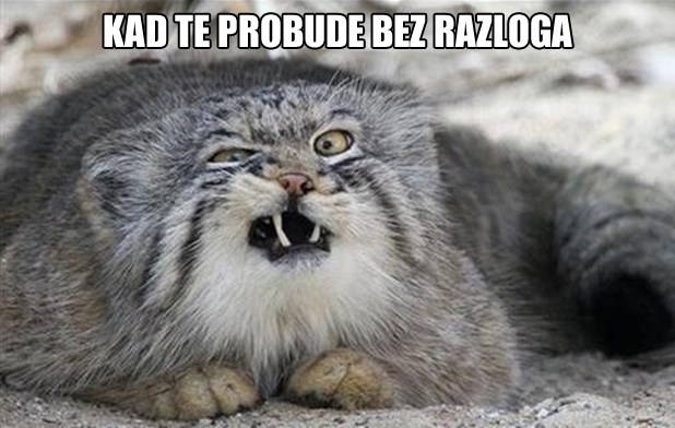 Subota je, ljudi, marš od mene!