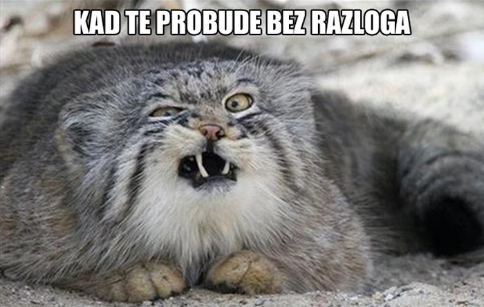 Subota je, ljudi, marš od mene!